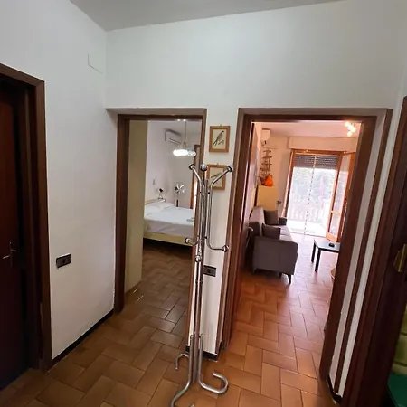 Buddy Apartment