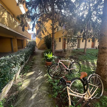 Apartment Buddy Torre del Lago Puccini
