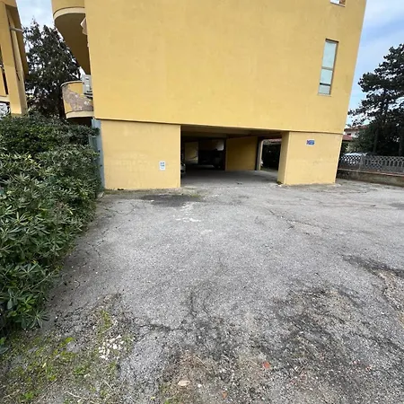 Buddy Apartment *